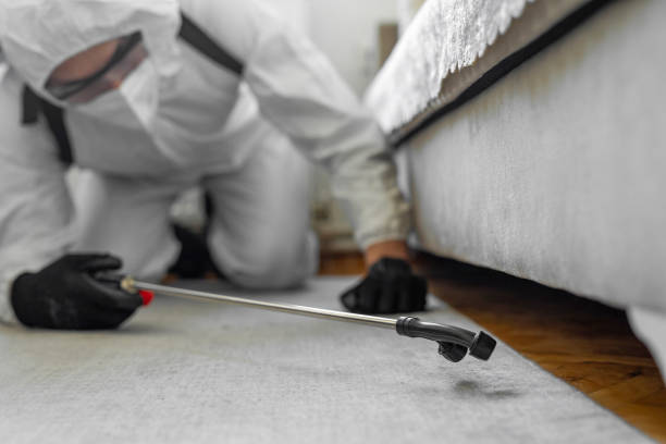 Professional Cockroach Control technician working in Wilburton, OK