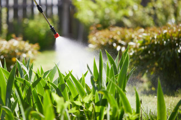24/7 Emergency Cockroach Control experts in Wilburton, OK
