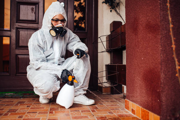 Reliable Cockroach Control contractor in Wilburton, OK by Nex Pest Control