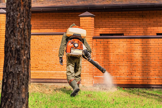 Trusted Cockroach Control service in Wilburton, OK - Nex Pest Control